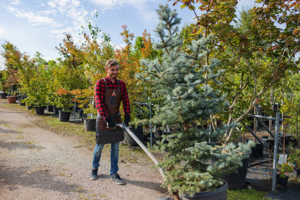 Tree Branch Trimming in Walker Valley, NY